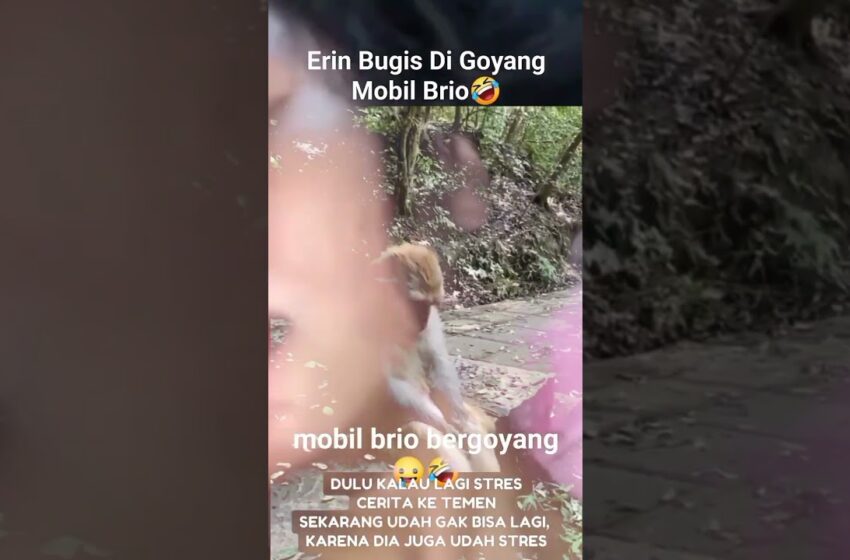  Erin bugis leaked full video