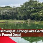 jurong lake gardens death