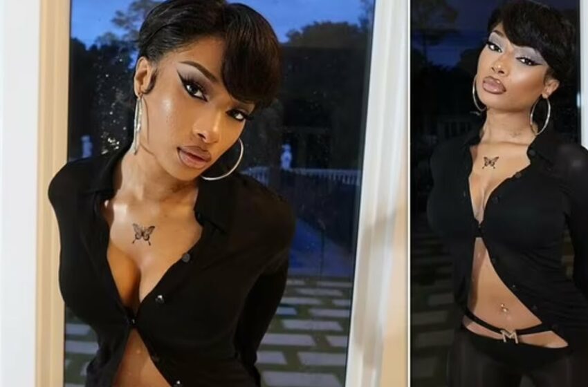  Megan Thee Stallion Shows Off Body in Smokin Hot Pics