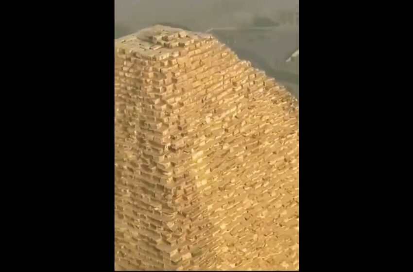  Video : The Dog on the pyramid