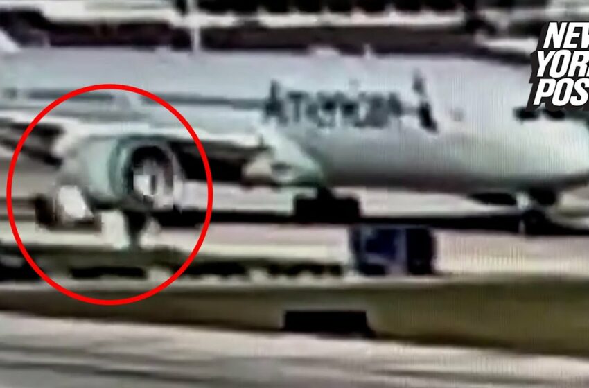  Wild video shows American Airlines plane sucking cargo container into engine