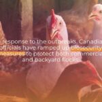avian influenza british columbia