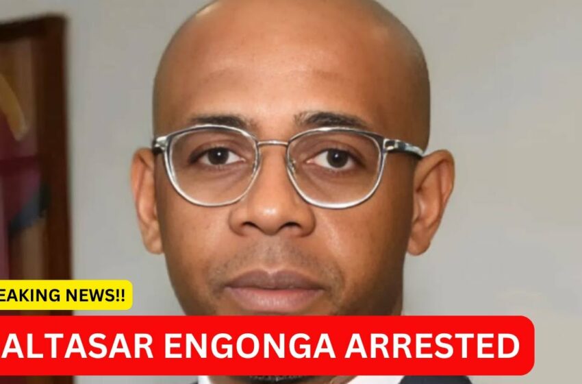  Baltasar ebang engonga arrested