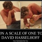 david hasselhoff burger video