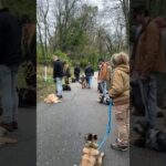 dog obedience class viral video