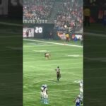 grey cup streaker 2024 video