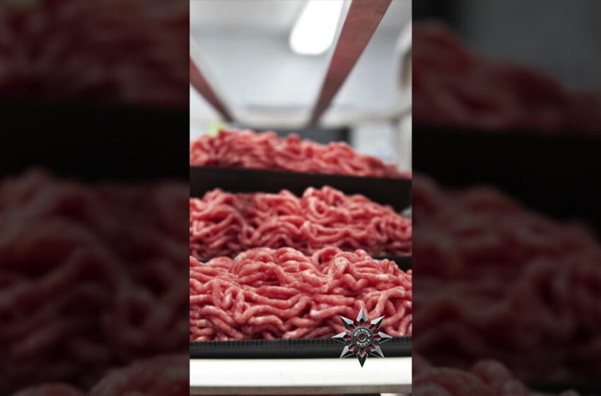  ground beef recalled