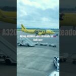 haiti spirit airlines