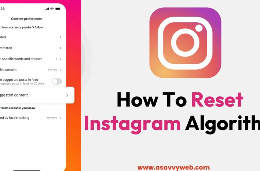  How To Reset Instagram Algorithm 2024