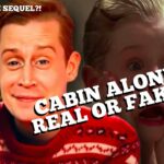 macaulay culkin cabin alone movi