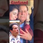maryam nawaz viral video