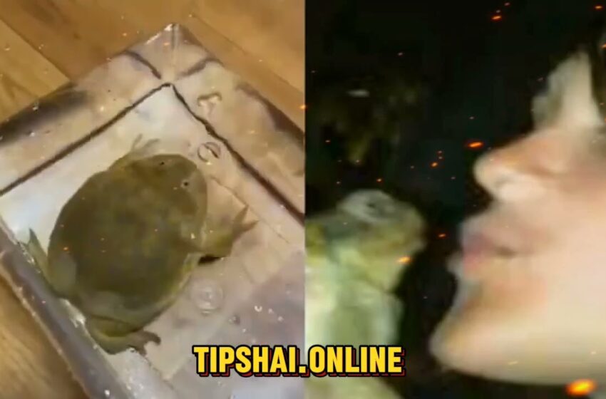  one girl one frog viral video