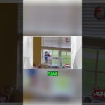 amy please call the cops video