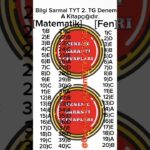 bilgi sarmal full video cozum