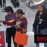 california shoplifters arrested