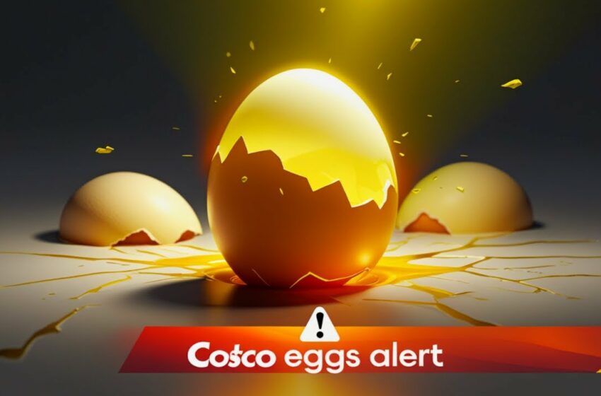  costco eggs recalled fda