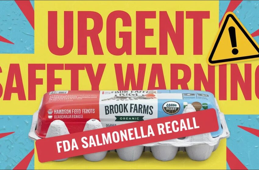  fda issues urgent salmonella warning for costco eggs