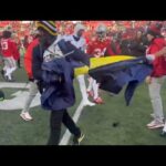 ohio state michigan fight video