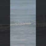 santa cruz wharf collapsed