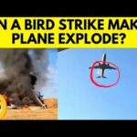 south korea crash video
