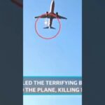 south korea plane crash cause vi
