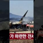 south korea plane crash reddit