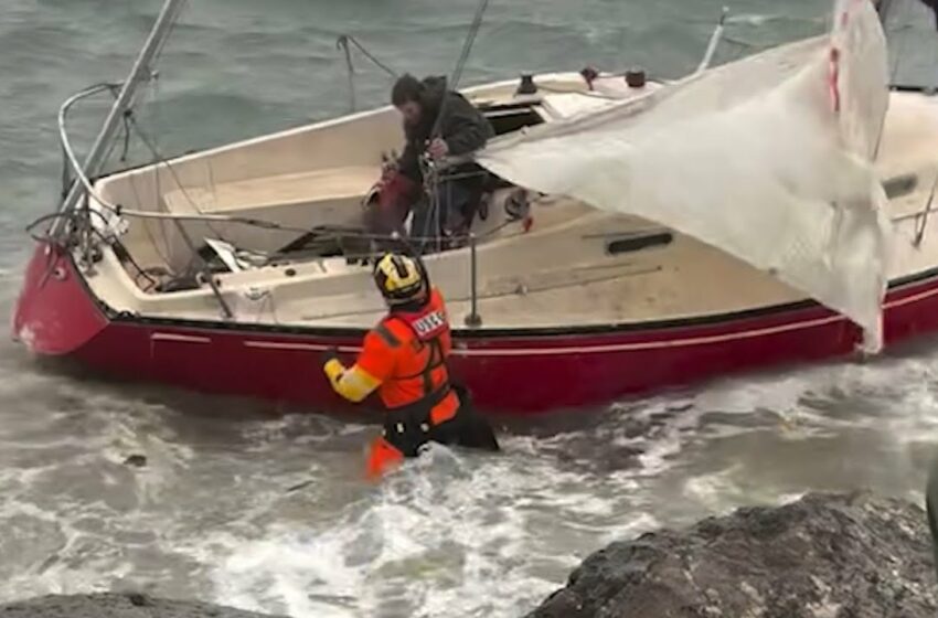  USCG rescues man and dog from sailboat