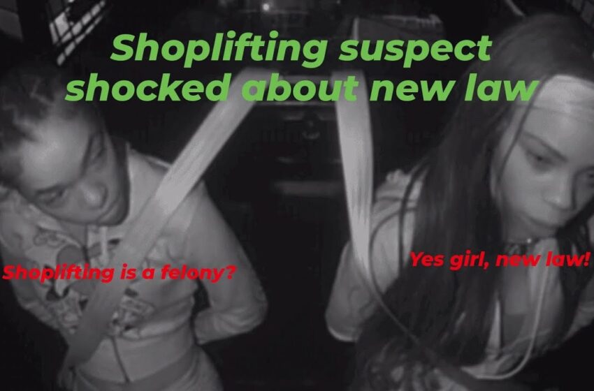  Video : Greedy Shoplifters Get Caught & Hit With Felonies