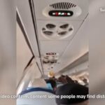 watch azerbaijan airlines passen