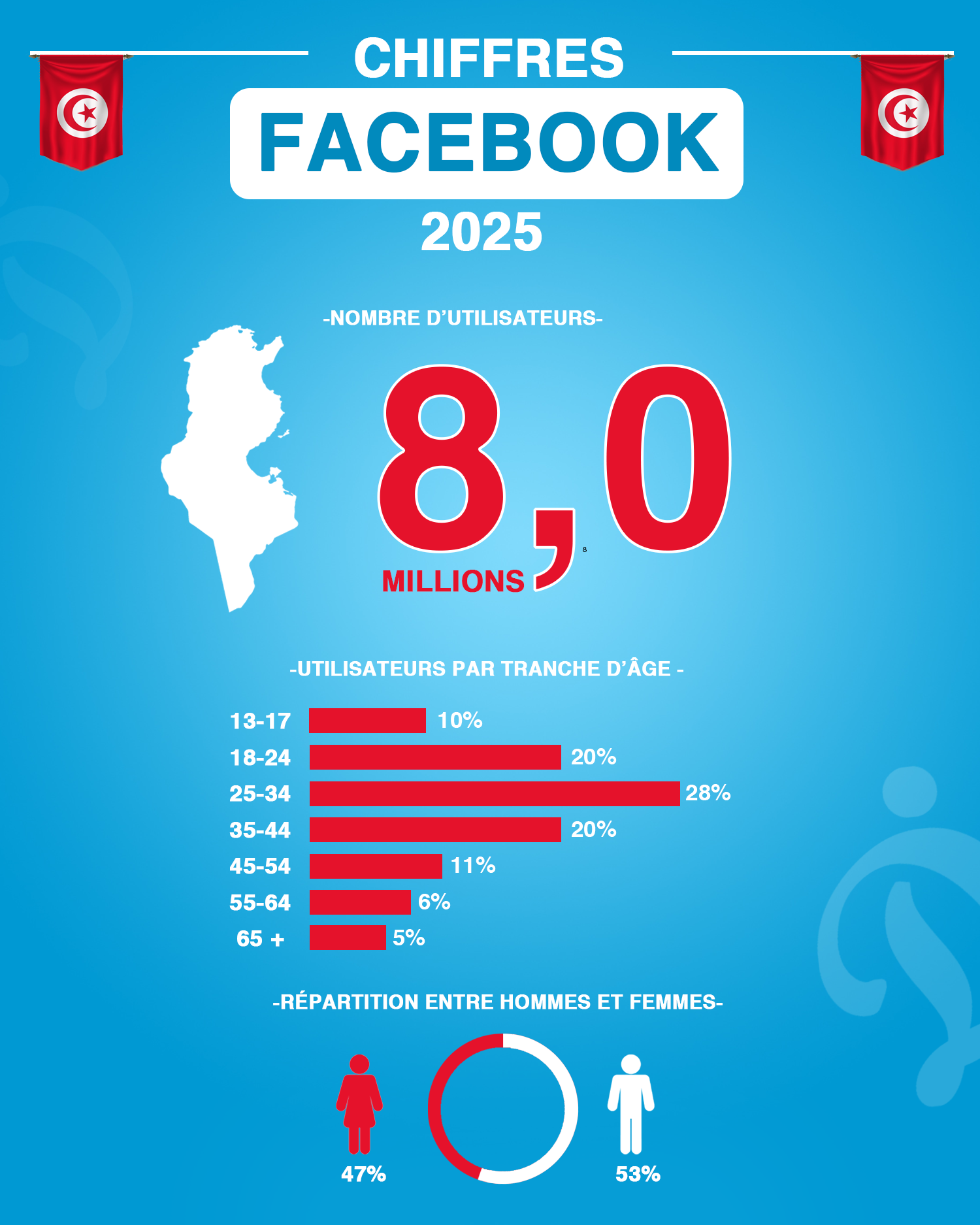 chiffres réseau social Facebook Tunisie 2025