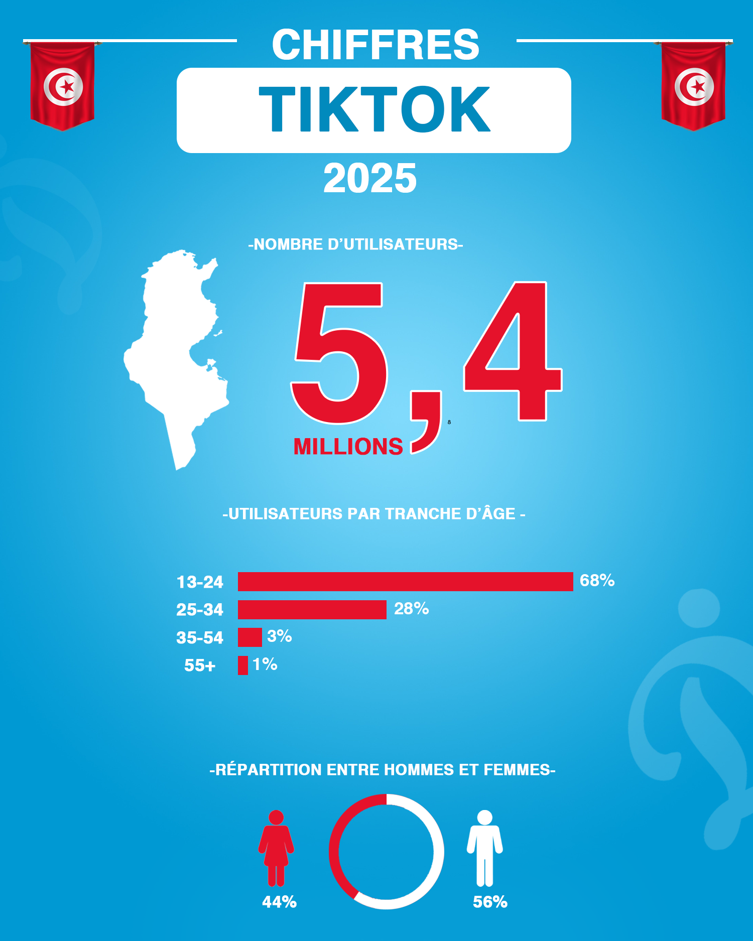 chiffres réseau social TikTok Tunisie 2025