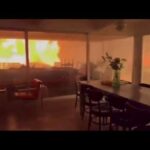 california wild palisades fire v