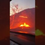 did the hollywood sign burn down