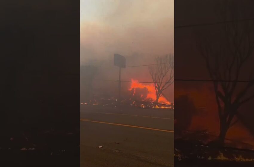  El incendio en Pacific Palisades avanza sin control y amenaza a unas 10 mil viviendas