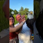 juan bernabe video