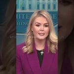 karoline leavitt reddit video