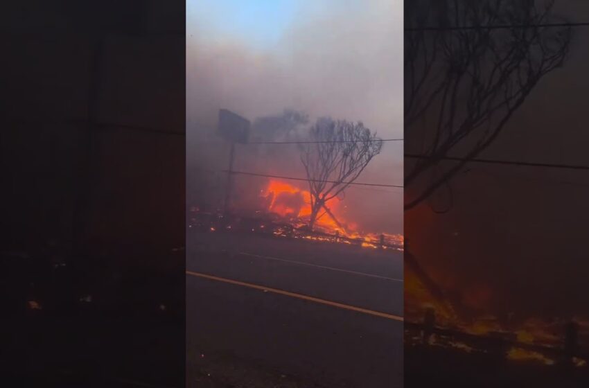  Wildfire in Malibu California Palisades