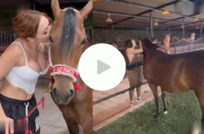  aida victoria merlano horse video