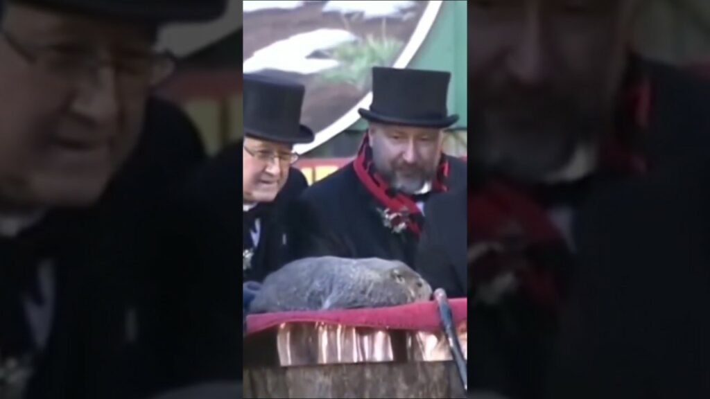 Ground Hogs Day 2026: Simple Explanation For Anyone Confused By The Groundhog Hype