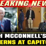 mitch mcconnell fall video