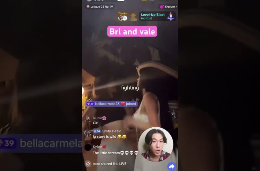  vale and bri olsen fight reddit viral video