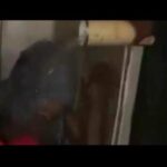 zanzou bar nightclub trending vi