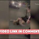 zanzou trending video twitter