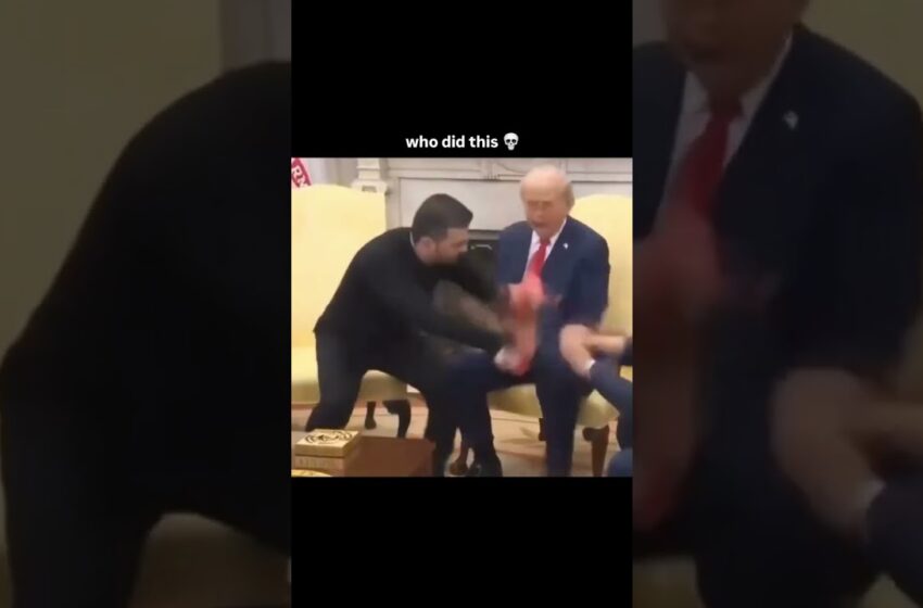  video of zelensky punching trump