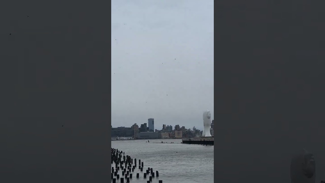 video 6 dead in helicopter crash