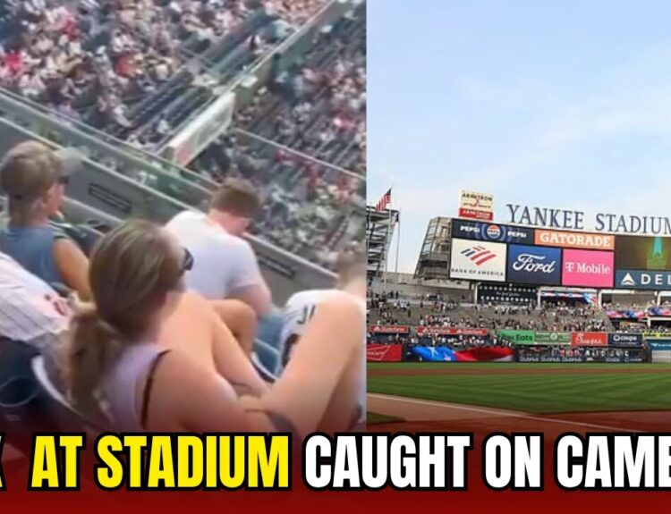 phillies yankees fan video