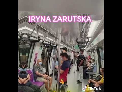 iryna zarutska full reddit video