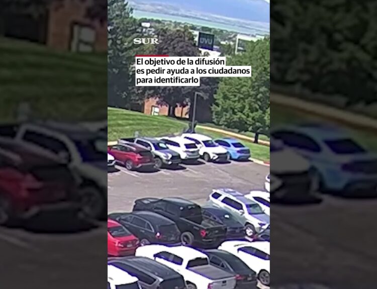 lucius q bbq cincinnati charlie