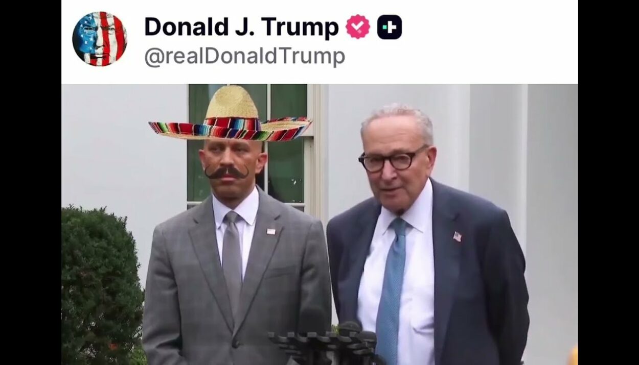 trump schumer video