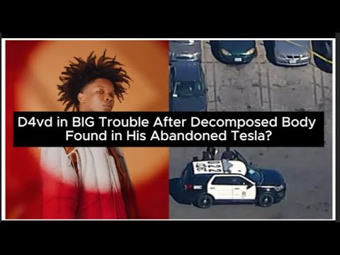 video body found in tesla regist